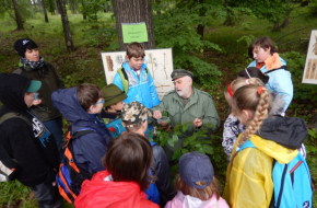 Co je lesní pedagogika